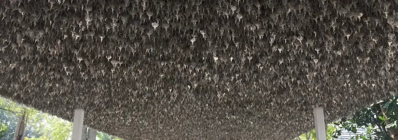 Top catégories Marché221 en 2026: mode, électronique, maison et plus